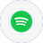 Spotify Icon